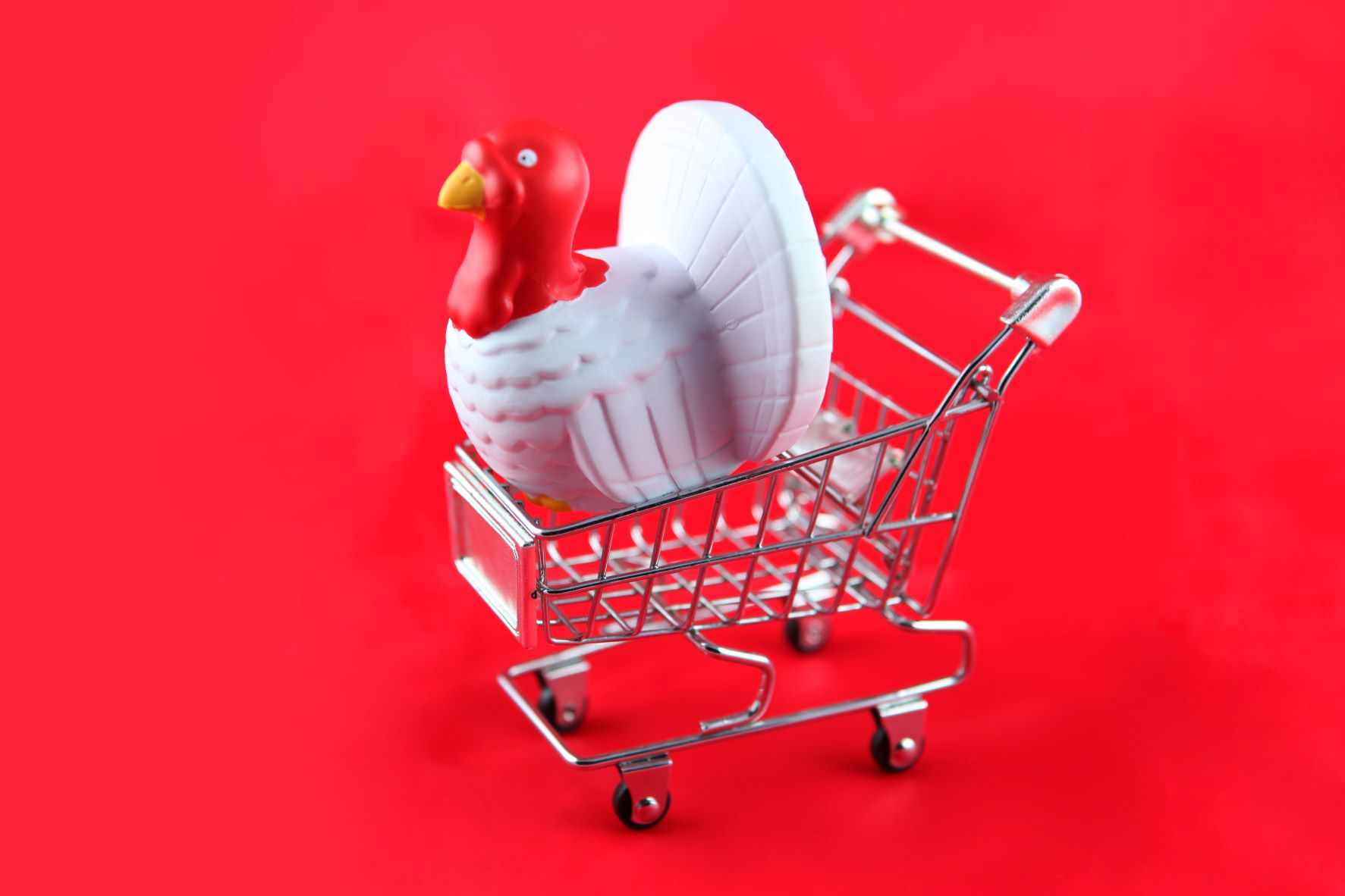 A turkey riding in a shopping cart? Sure! So, why not gobble up impairment safety tips?